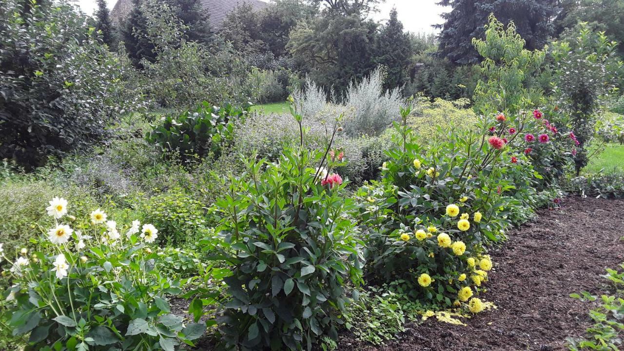 Gaestezimmer Sommer Locktow Luaran gambar