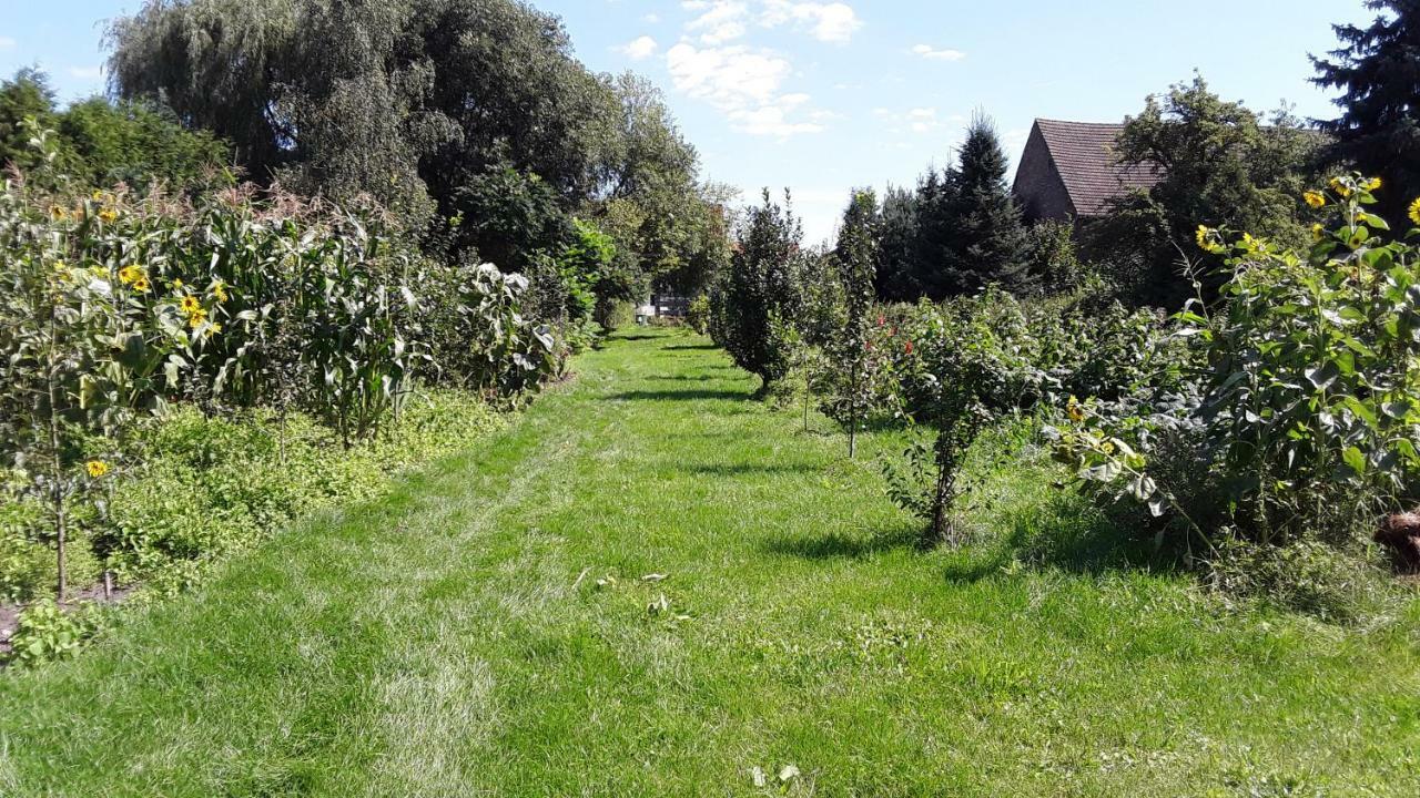 Gaestezimmer Sommer Locktow Luaran gambar