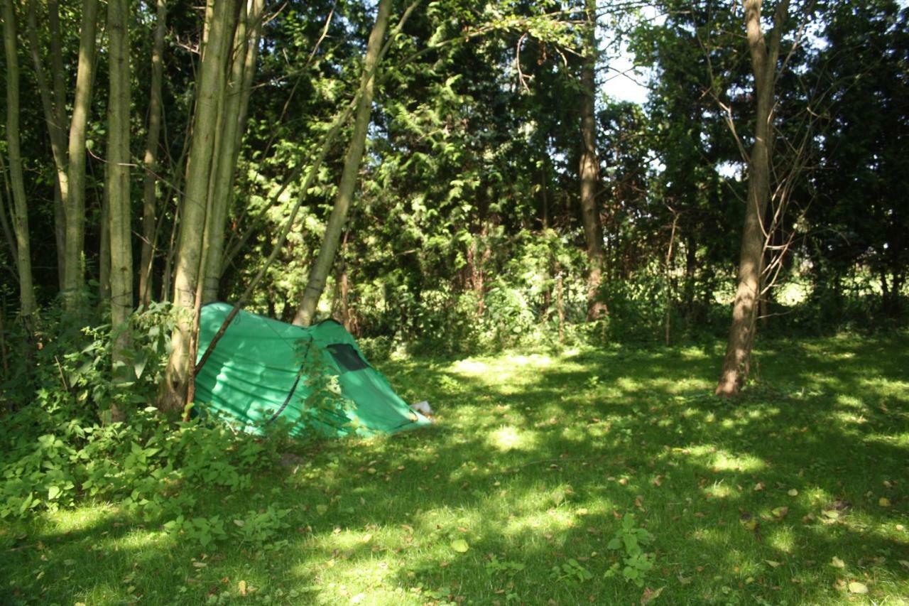 Gaestezimmer Sommer Locktow Luaran gambar