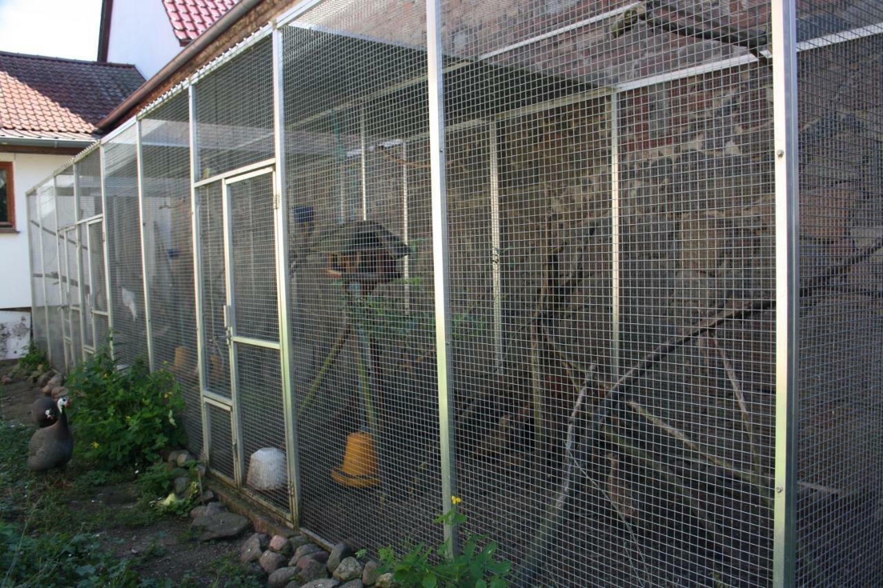 Gaestezimmer Sommer Locktow Luaran gambar